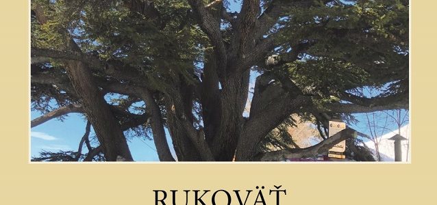 Výbor misie ECAV vydáva Rukoväť presbytera